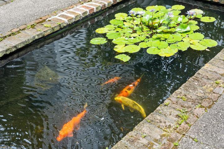 Serene Cottage With Beautiful Garden And Heated Pool Charleston Eksteriør bilde